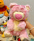 Puffy Winnie Strawberry Bear Cute Plush Stuffed Toy from the Sleepy Didi Series.